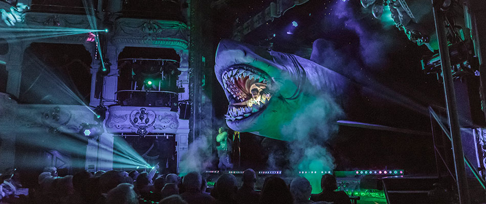 Bruce the Shark - megalodon dinosaur for hire